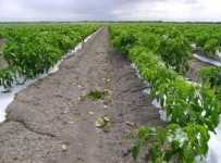 Agroecosistemas
