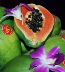 Buen pronóstico para frutos tropicales