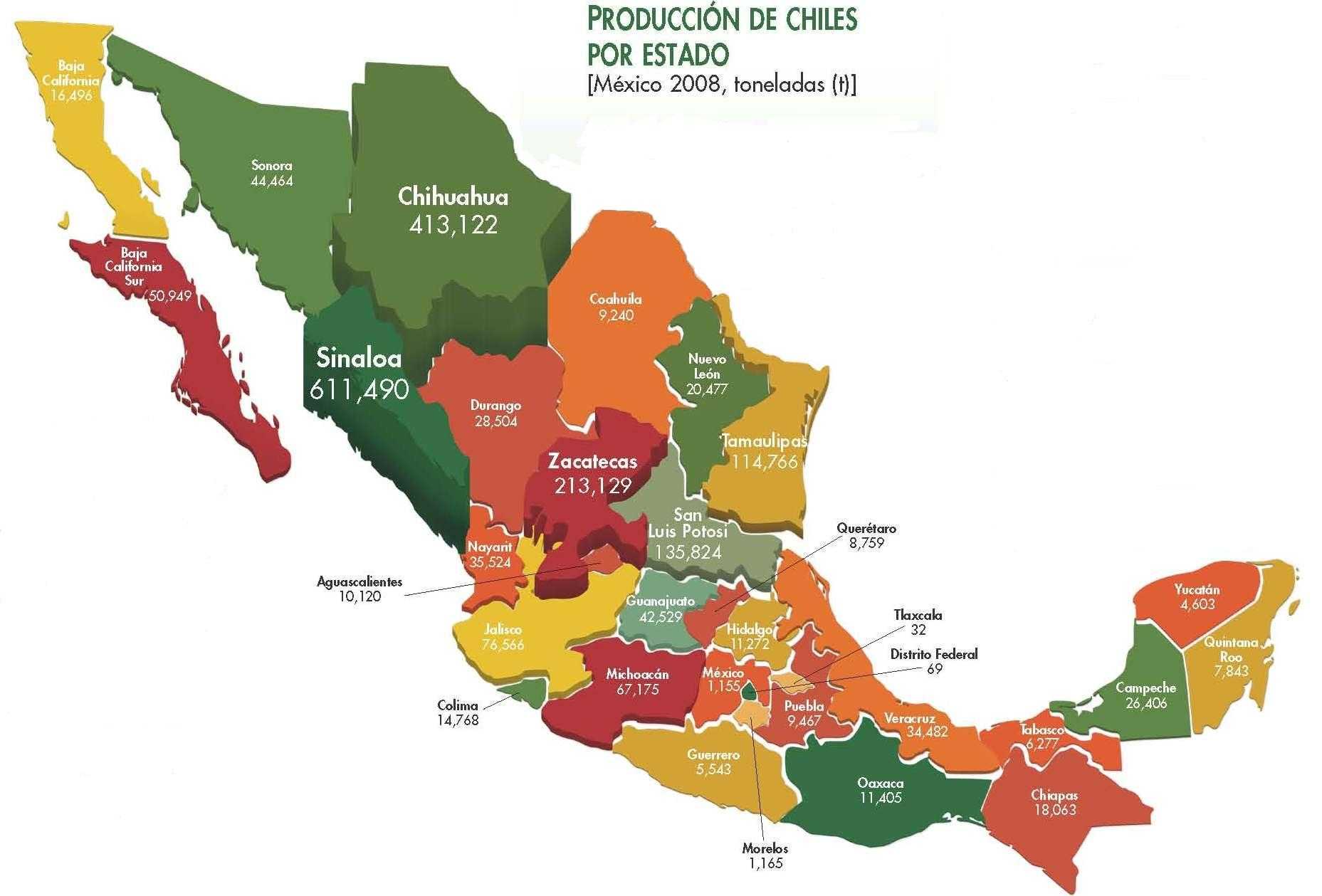 Panorama de producción mexicana de chiles y pimientos Hortalizas