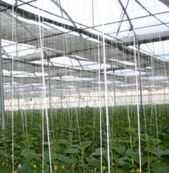 Estructuras adecuadas de producción