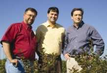 Producción exitosa de moras