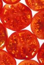 Mayor rendimiento para el tomate del futuro