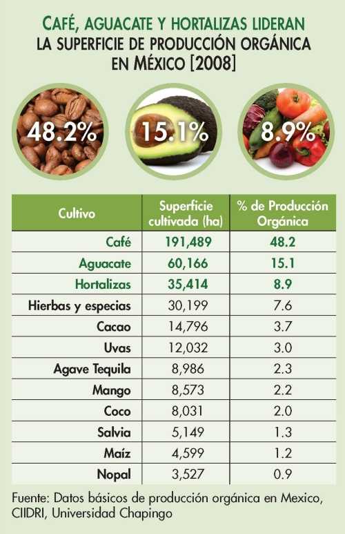 Los 12 cultivos más importantes en la producción orgánica Hortalizas