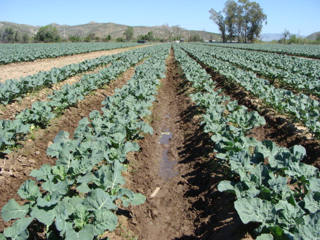 FIG 1