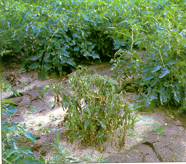 FIG 4