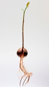 Foto cortesía de iStockphoto.