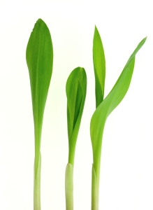 Foto cortesía de iStockphoto.