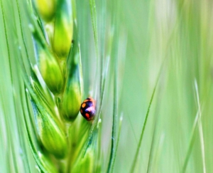 Foto cortesía de iStockphoto.