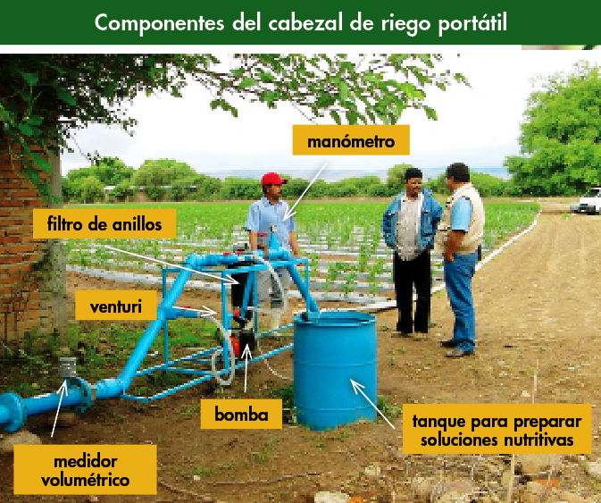 Fertirriego Y Programación De Riego Para El Cultivo De Chiles Hortalizas 6774