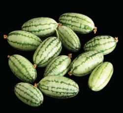 melon pepquino