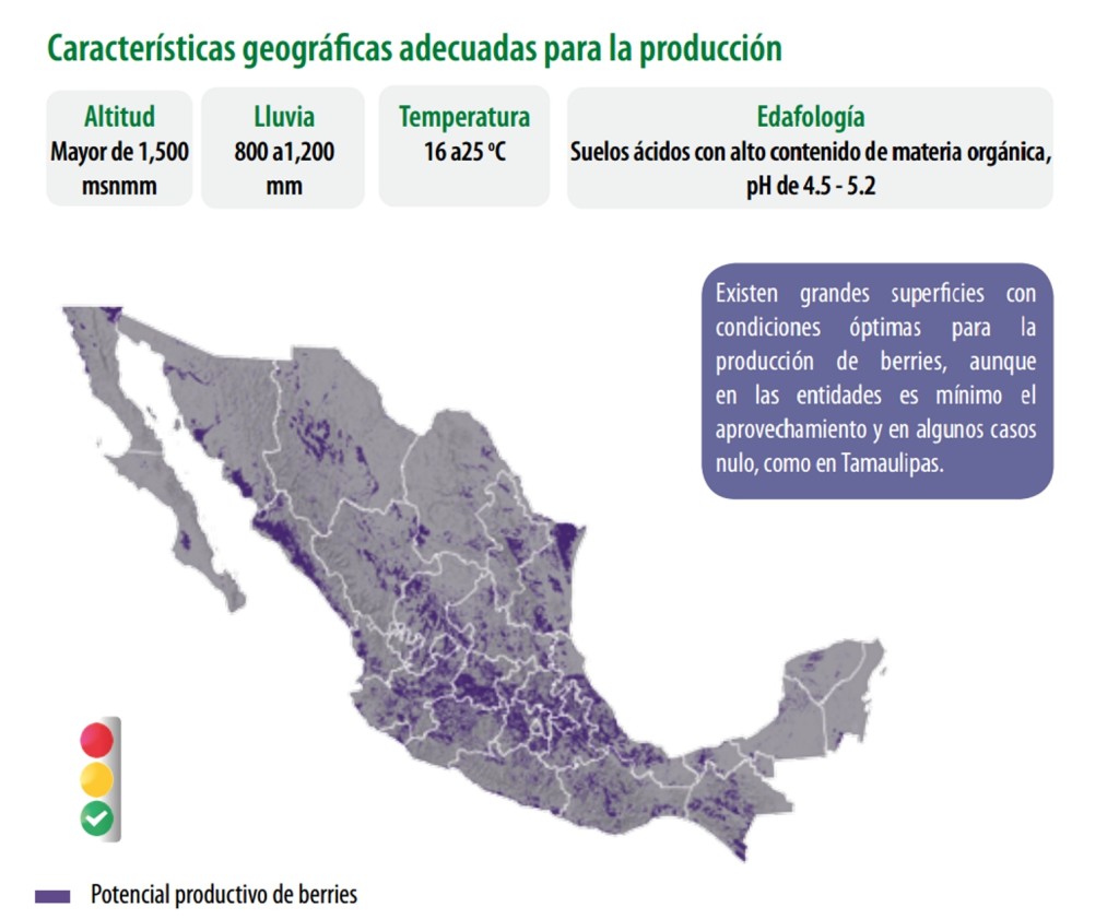 potential berry production map