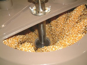 treating corn seed action 300dpi 8533 x 6400