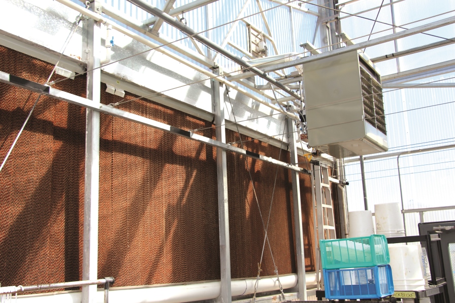 evaporative cooling pads, u of ariz greenhouse