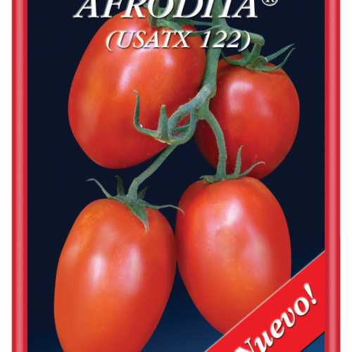 Pony Express Directorio