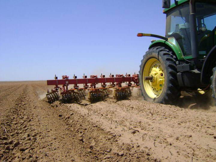 Bigham Ag® Lilliston Rolling Cultivator® Directorio
