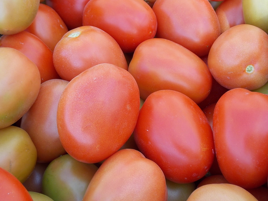 Vibranio F1 Directorio