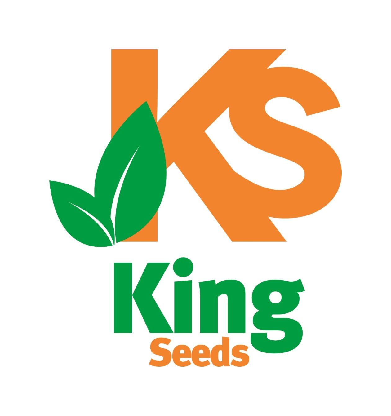King Seeds Directorio